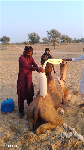 جسمٌ يشبه الأنبوب مملوء بالماء موضوع فوق القدم