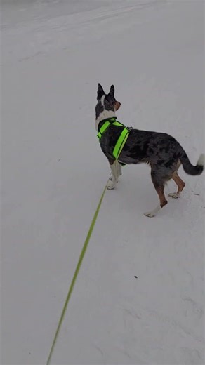 Serious Disagreement