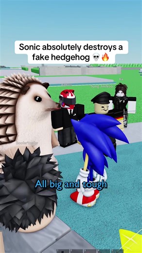 Sonic absolutely destroys a fake hedgehog 💀🔥 #robloxtiktok #roblox #robloxvc #sonic #robloxfyp
