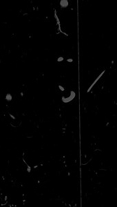 old film grain texture overlay Scratch And Dust Screen Overlay #edit #overlay#overlay #background