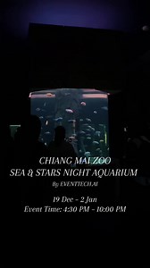 ✨🌊 SEA & STARS Night Aquarium When the ocean comes alive at night 🐠 An underwater world awakened by lights, sounds, and immersive art 🪼 Glowing Jellyfish Dome 🌊 Ocean Mapping Experience ⭐ Garden Star Picnic 🤿 Must-see highlight! Live underwater feeding show ⏰ 6:30 PM & 7:30 PM (2 shows per night) 📅 19 Dec 2025 – 2 Jan 2026 ⏰ 4:30 PM – 10:00 PM 📍 Chiang Mai Zoo Aquarium 📲 More information Line OA: @EventTech.ai #SEAandSTARS #NightAquarium #ChiangMaiZooAquarium #ChiangMaiNight #ThailandTra