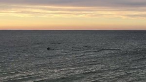 Even with a few clouds the sky is spectacular on the Sunset Tour! #artsdunetours #provincetown #myptown | Art's Dune Tours