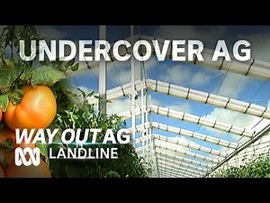 Farms of the Future: Got You Covered – Indoor Agriculture 🌱🍓 | Way Out Ag Ep5 | ABC Australia
