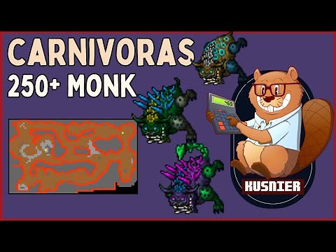 Carnivoras (PROFIT!) | 250+ Monk | Tibia
