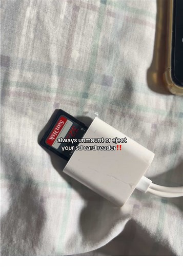 Essential SD Card Tips for Your Digital Camera