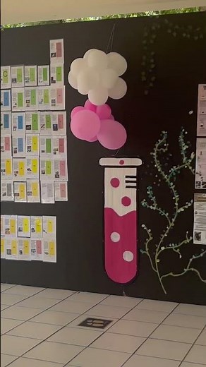 2nd Grade Science Fair