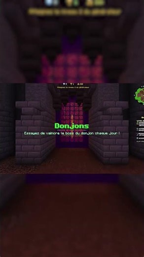 PRESENTATION ONEBLOCK sur CraftopiaMC