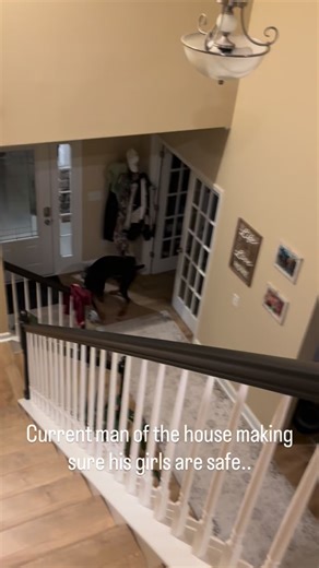 TheBigDoberman-Jax | Our sweet boy stepping up to protection mode while Dad is working. He is always positioning himself between us and the door. We’re a lucky... | Instagram