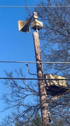 Thunderbolt 1000T Tornado Siren Hendersonville, TN #tornadosiren #tornado