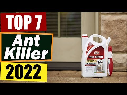 The 7 Best Ant Killer Options of 2022- Indoor and Outdoor Ant Repellants.
