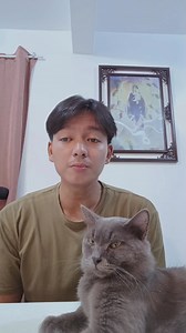 Jamming with my cat🫶 I'll never go🎶 | DJ-Jm Torres