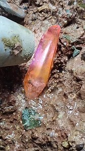 15K views · 267 reactions | Natural Healing Fluorite Crystals ? #crystal #gems #minerals #agate | Chak Krythink | Facebook