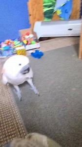 12K views · 1K reactions | When potatoes fight back ???!!! | Mr Max | Facebook