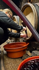 The art of racking 🍷 Racking is a winemaking process where wine is carefully transferred to another container, leaving behind the sediments and solids that settle during fermentation. At @domaine_michel_lafarge, this tradition is handled with care and expertise. What’s your favourite winemaking tradition? Share below 👇 #Racking #Soutirage #WinemakingCraft #CellarTradition | Wine-Searcher Official