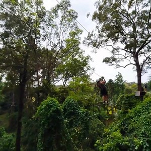 Looking for an unforgettable school holiday adventure for your little one? Let them swing, climb, and fly through the trees at TreeTop Challenge Juniors, built just for kids aged 4 to 9 at The Big Pineapple, Sunshine Coast! With over 50 exciting high ropes challenges and 5 kid-friendly ziplines, it’s the ultimate outdoor play experience that builds confidence, courage, and BIG smiles. 🌿 Safe, supervised, and seriously fun! 🌟 Here’s why families love it: ✅ 50 Challenges & 5 Ziplines – All desig