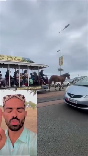 Unbelievable 1 Horse Power! Outperforming Modern Machinery in Farm Work.