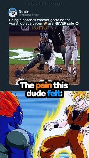 #catmemes 🥜⚾