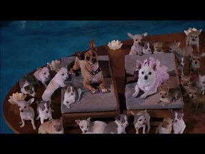Beverly Hills Chihuahua End Credits (Disney Channel USA Version)