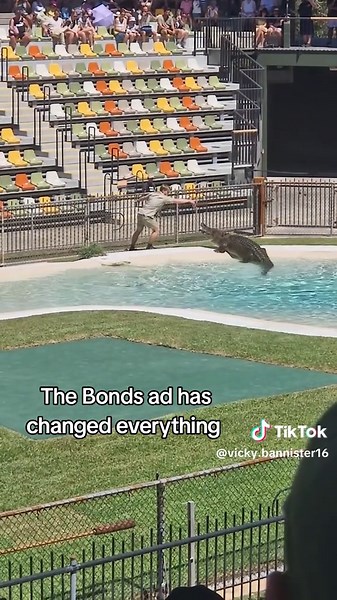 Vicky (@vicky.bannister16) - Robert Irwin's Exciting Bonds Ad Featuring Animals