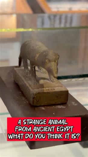 A Strange Animal from Ancient Egypt… What Do You Think It Is? This small and unusual statue was carved by the ancient Egyptians more than 4,000 years ago. At first glance, it looks unfamiliar. Not a dog. Not a cat. Not a known sacred animal to most people today. Yet the ancient Egyptian artist chose to immortalize this creature in stone. Was it a real animal? A symbolic creature? Or an animal with a religious role now forgotten? According to ancient Egyptian belief, animals were never chosen ran