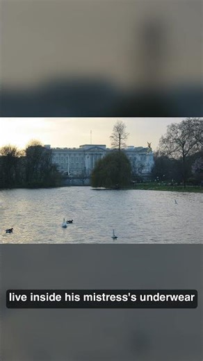 Charles Told Camilla He Wanted To Be Her Tampon — On Tape