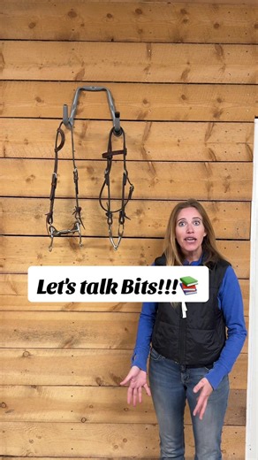 Understanding Snaffle and Leverage Bits in Riding