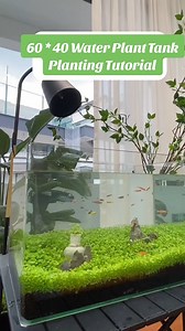 149K views · 1.4K reactions | Beautiful tank  #tank #fishtank #tanklover #tankfyp #fyp2025 | Scuba Diving | Facebook