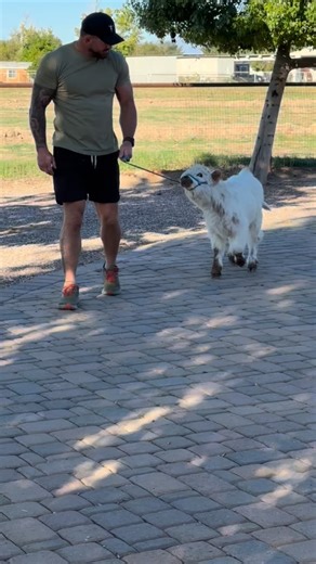 New addition to the ranch 😂 @daisybader @notoro44 | Ryan Bader