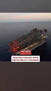 132K views · 1.8K reactions | Vietnam Business News on Reels | Facebook