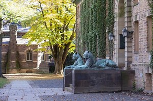 Princeton researchers investigate the impacts of climate change on biodiversity