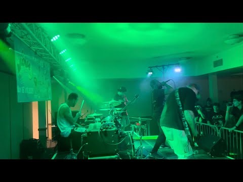 Forced Regression - LIVE 2025 @ Millvale Music Fest in Millvale/Pittsburgh Pa