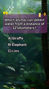 Too easy?👈How many correct answers did you get? Visit Profile for more... Get ready for an incredible journey! 🌟 Discover mind-bending puzzles, trivia, and brain teasers that will leave you amazed. Join us as we explore the world of intellectual excitement. 🧠💡 #trivia #iq #quiz #quiztimer #riddle #knowledge #generalknowledge #fyp #foryou #fypシ゚viral #puzzle | 12D Health Hub