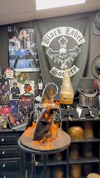 Creation of the Harry Potter Sorting Hat