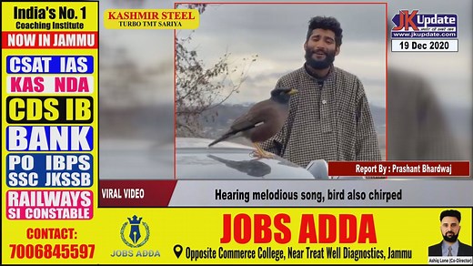 893K views · 24K reactions | Hearing melodious song, bird also chirped | Jkupdate News | Facebook