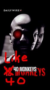 Forty Monkeys ESCAPED From SC Biomedical Lab | Matt Walsh