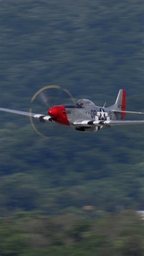 P-51D Mustang LOW and LOUD! Listen to that V12 Merlin Engine sing as Thom Richard brings ‘Red Nose’ around in a beautiful low pass at WWII Weekend in Reading, PA. #WWII #mustang #beauty #engine #usa | Ryan Tykosh Photography