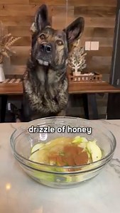 Caramel Apple Pie Recipe For Dogs 🥧 🐶 | Jade the Sable GSD