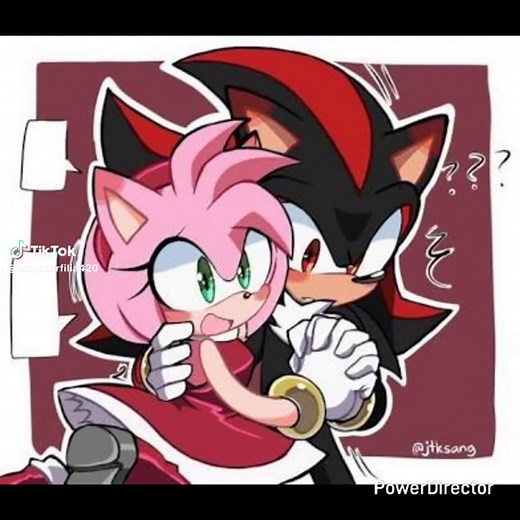 Shadow the Hedgehog and Amy Rose: Shadamy Forever