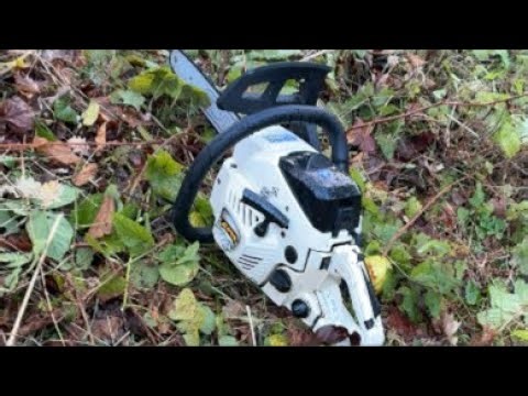 Logging up a small oak