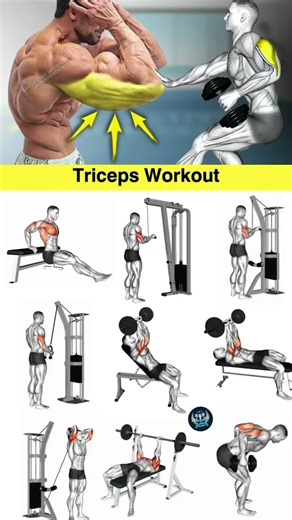 9 Powerfull Dumbbell Arm Workout to Transform UpperBody#workout#armworkout
