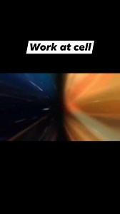 Biology 101 Cell at work zero #animememes #animeedit #anime #animelover #animeworld #animefans | Jaaaypsu