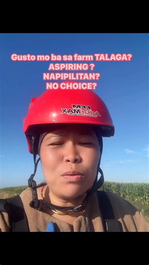 Farming life live it love it be concerned | New Zealand Dairy farm LIFE