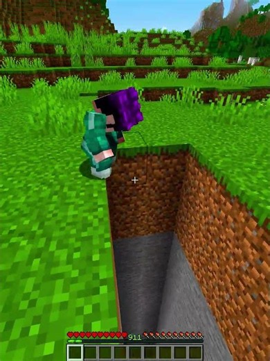 Minecraft Fake Trap Troll (World's Smallest Violin) #minecraft #shorts