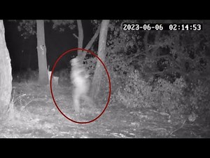 Most Disturbing Creatures Ever Caught on Trail Cam 2023
