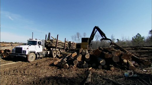 Swamp Loggers (TV Series 2009– )