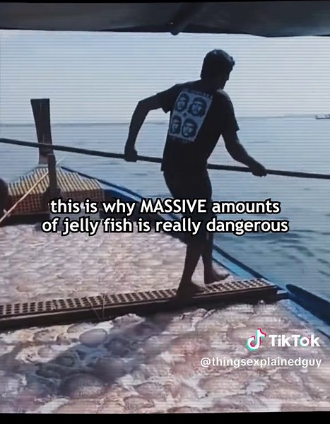 #howthingswork #explained | How Things Actually Work