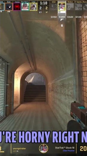The Stroker #comedy #cs2 #gaming #fitz #funnymoments #ohne