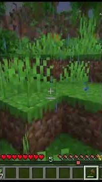 Busied manhunt resolution #minecraft #gaming