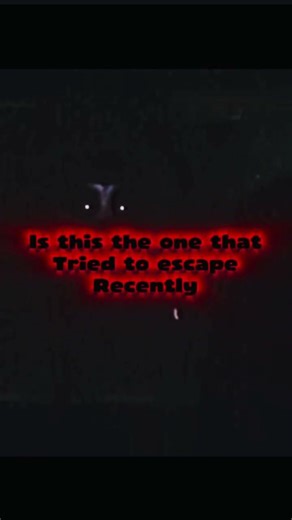 The scariest toy / song: hollow / catnap edit #edit #poppyplaytime #horror #catnap