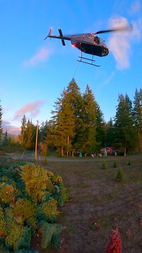 4.8K views · 73 reactions | Rippin around in Eagle Creek, have loads of footage to go through, hoping to find something  here's a little clip. @ross_barnes @jeffdjuker @chinahobbyline @hobbyking @gopro @thobby_shop @thobbyfpv @ethixltd @blacksheepfpv @rotor_riot @mrsteelefpv | Alusivekarma Fpv | Facebook